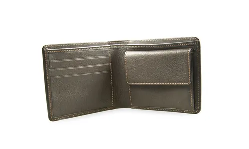 Inusitado: cachorro encontra carteira furtada