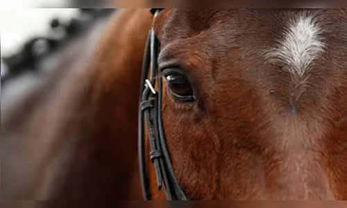 Jovem cai de cavalo em Apucarana e Samu é chamado