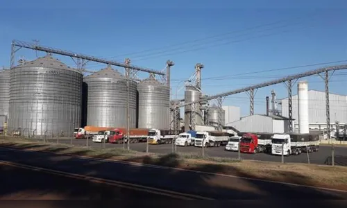 Jovem morre após cair em misturador de alimentos