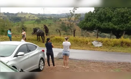 Jovem morre em acidente com faca durante cavalgada