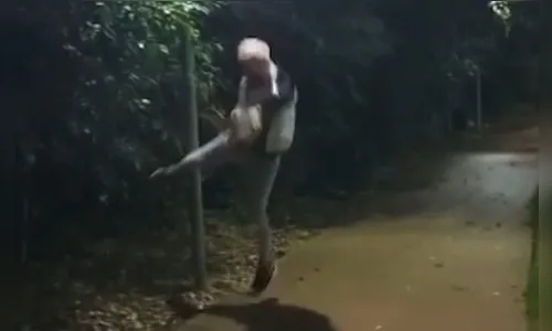 Mães de jovens que vandalizaram Pq Jaboti prestam depoimento