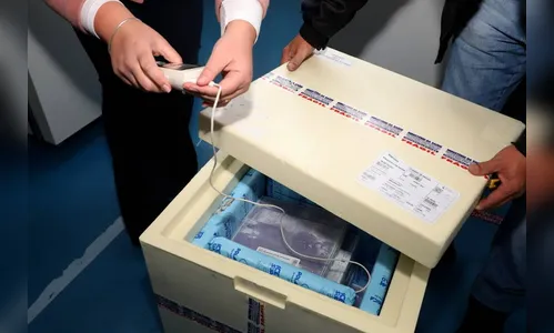 Mais 133,3 mil doses da Pfizer chegam nesta sexta-feira