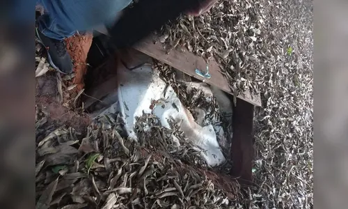 Mais 400 quilos de crack enterrados são encontrados no PR