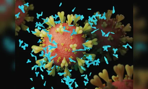 Marilândia do Sul confirma mais 2 óbitos por Covid-19