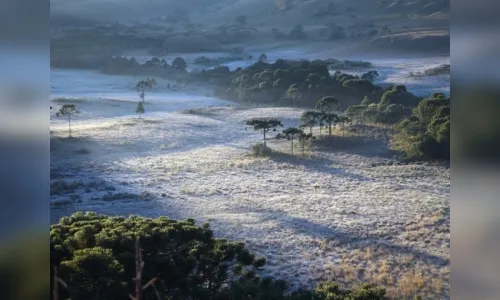 Meteorologia mantém previsão de geada para a região