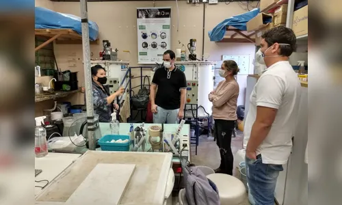 Projeto prevê implantação de usina de energia renovável