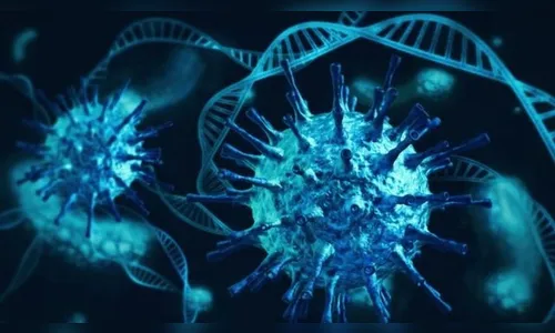 País tem 2.202 óbitos por covid-19 nas últimas 24h