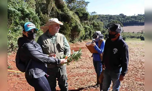 Pesquisadores fazem  levantamento na Estação Ecológica Faian