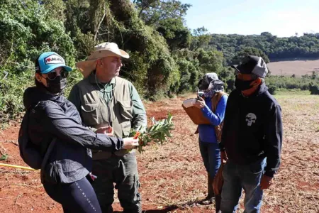 Objetivo mapear a flora da área de preservação para execução do plano de manejo.