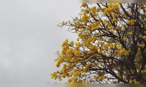 Outono se despede com tempo instável na região