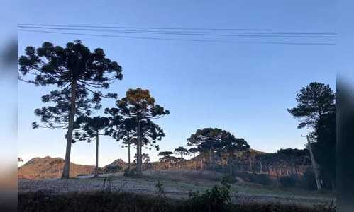 PR: Simepar prevê inverno gelado e seco, com muito nevoeiro