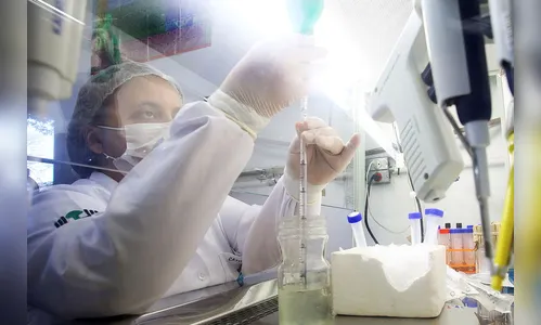 PR e Reino Unido ressaltam cooperação em temas da saúde