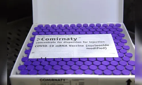 PR recebe nova remessa com 37,4 mil doses da Pfizer