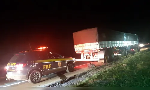 PRF apreende 350 mil maços de cigarros contrabandeados no PR