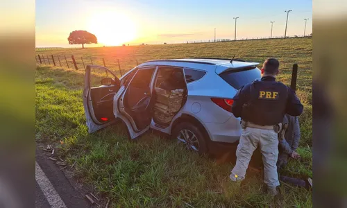 PRF apreende mais de uma tonelada de maconha; veja