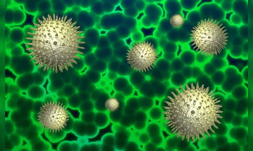 Pandemia: 15 idosos que viviam em asilos morreram