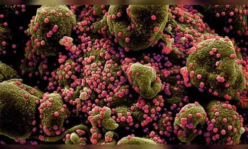 Para conter cepa indiana, Saúde implementa barreiras