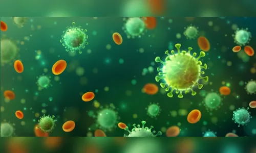 Paraná atinge mais de 32 mil mortes por Covid-19