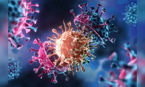 Paraná confira 4.265 novos casos e 197 mortes pela Covid-19