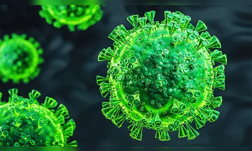 Paraná confirma 7.029 novos casos e 202 óbitos pela Covid-19