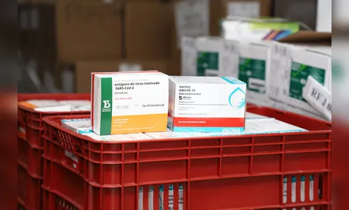Paraná deve receber doses da Coronavac nos próximos dias