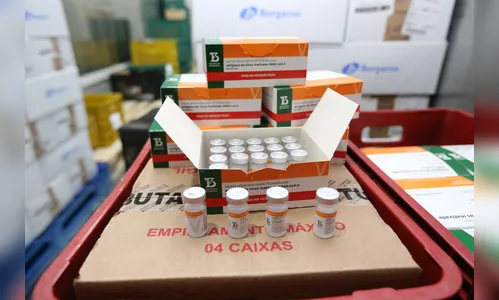 Paraná inicia logística para distribuição de doses de vacina