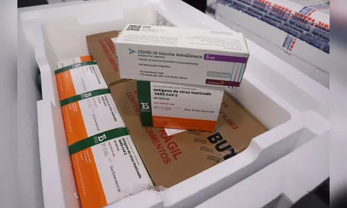 Paraná recebe 141 mil vacinas contra a Covid-19