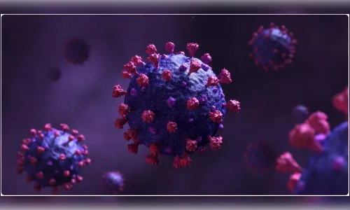 Paraná registra 3.961 novos casos e 340 óbitos pela covid-19