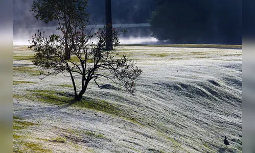 Paraná registra chuva congelada nesta segunda-feira