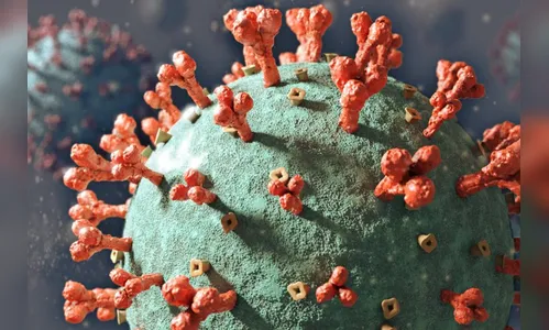 Paraná registra mais 5.845 casos e 113 óbitos pela Covid-19