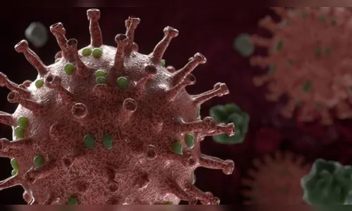 Paraná registra mais 7.719 casos e 147 mortes pela covid-19