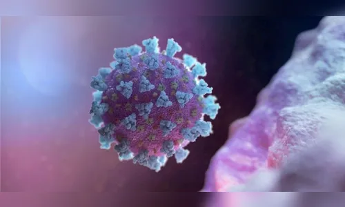 Paraná soma 7.878 novos casos e 231 óbitos pela Covid-19