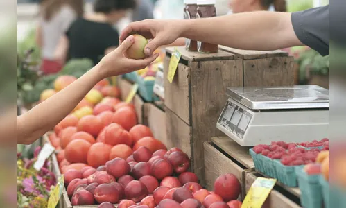 Pesquisa diz que preços de produtos e remédios aumentaram