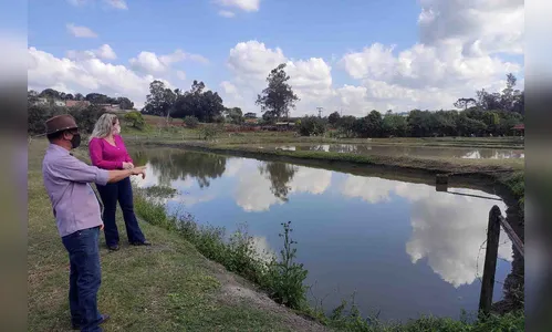 Programa incentiva produção de peixes em Ivaiporã