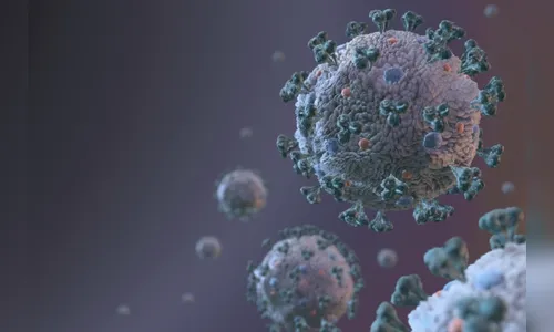 Professora aposentada Odília Margraf morre vítima da Covid