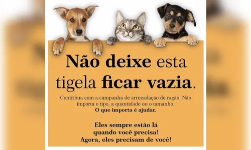 Ricardo Cabello faz campanha em prol de animais abandonados