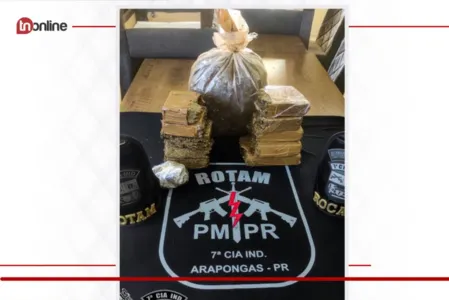 Rotam Arapongas apreende quase de 6Kg de maconha