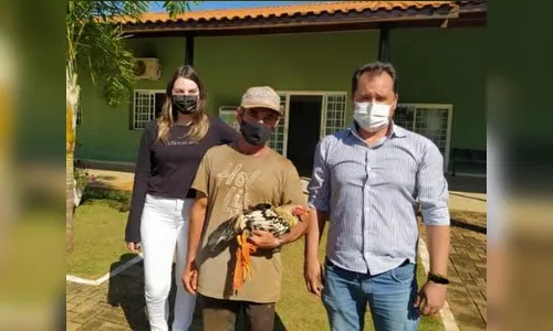 Segue arrecadação de recursos para dono do galo de Ivaiporã