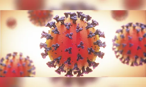 Sem nenhum novo óbito, Apucarana tem mais 35 casos de Covid