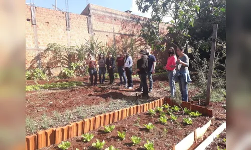 Semaf amplia programa de hortas solidárias