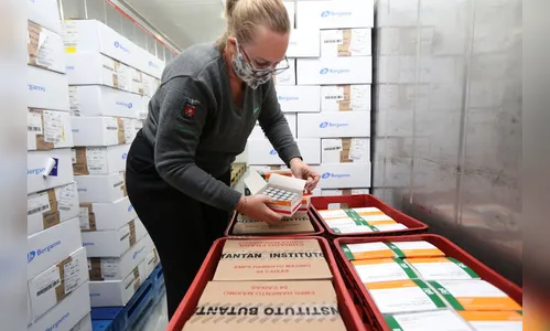 Paraná recebe 439.430 doses de vacinas contra coronavírus