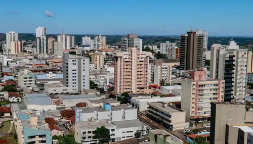 Serviço: Apucarana “mais verde”