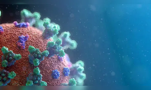 Sesa confirma 3.546 novos casos e 163 óbitos por Covid-19