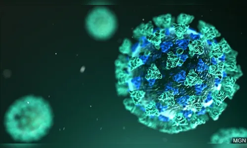 Sesa confirma mais 4.288 casos e 161 óbitos pela Covid-19