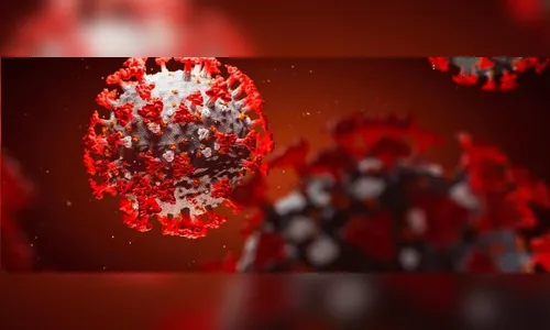 Sesa registra 6.351 novos casos e 294 óbitos pela Covid-19