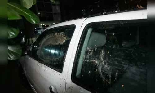 Síndico passa fezes de cachorro no carro do vizinho