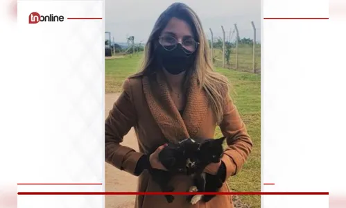 Gatos sofrem maus-tratos e são abandonados em Mandaguari