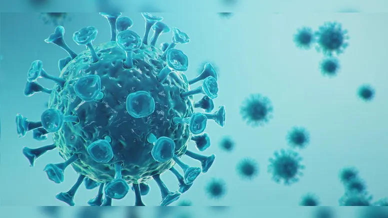 Imagem ilustrativa da notícia Monumento da Amuvi em homenagem