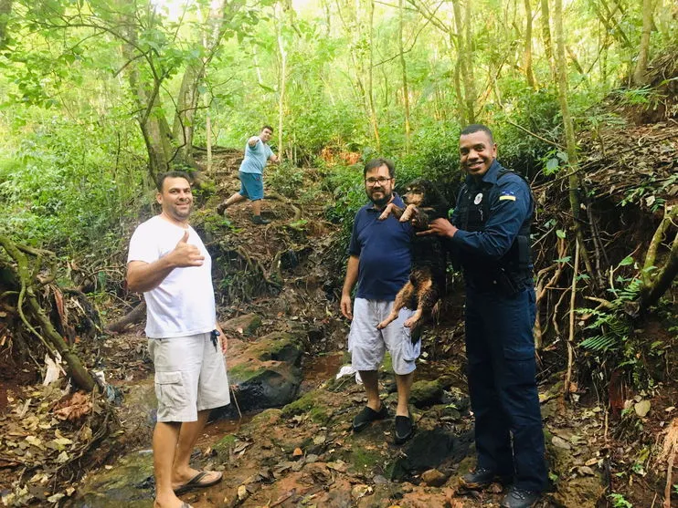 Cachorro preso em córrego é resgatado pela Guarda Municipal