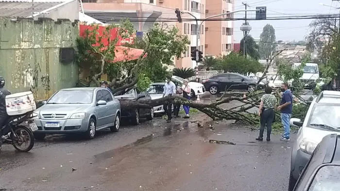 Chuva e ventos fortes causam estragos em Londrina